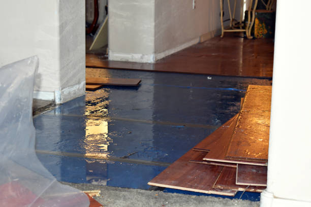 Professional Burst Pipe Cleanup technician working in Vanderbilt, TX
